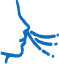 Alt Image